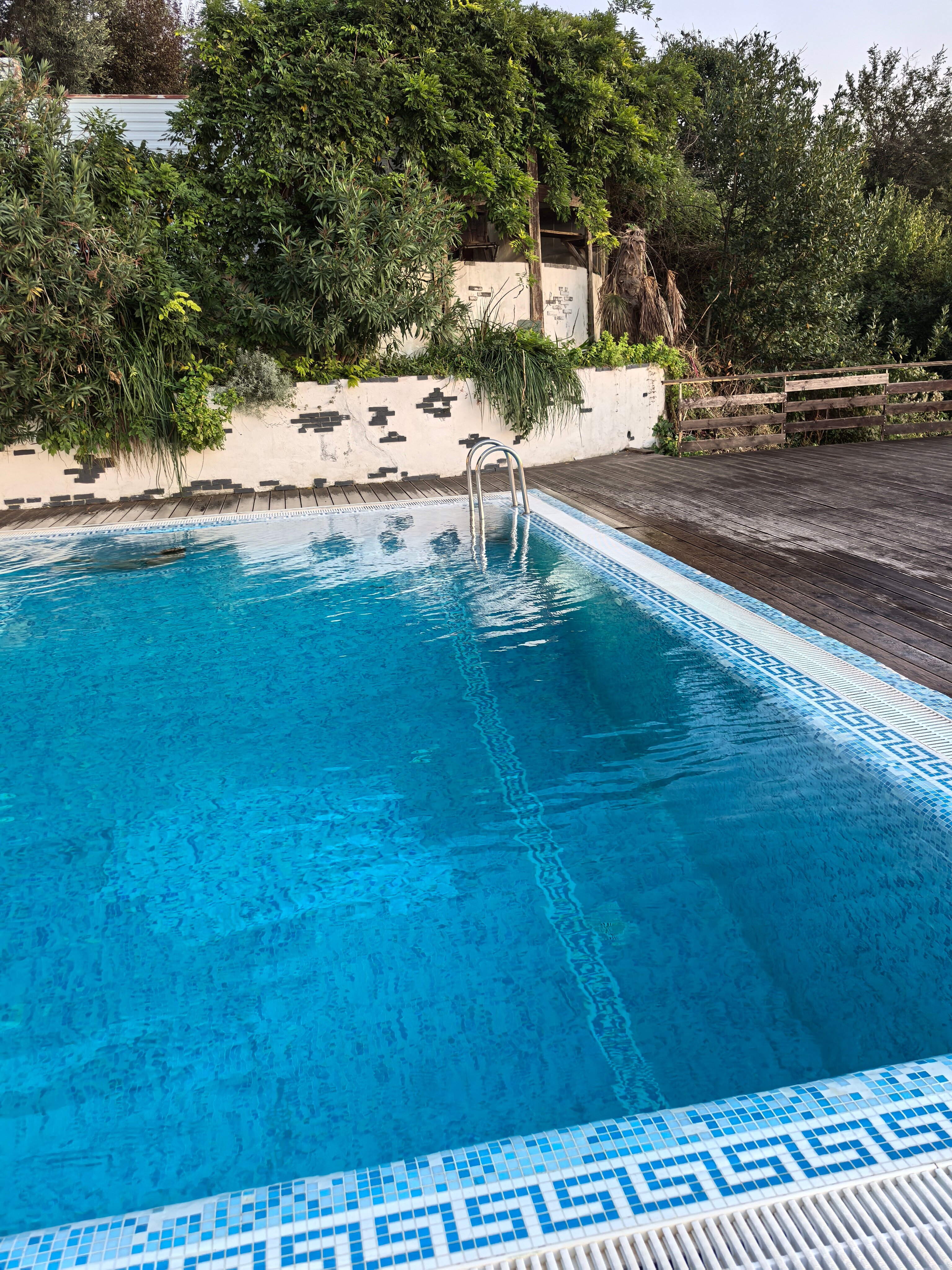 Фото Апартаменты Китон