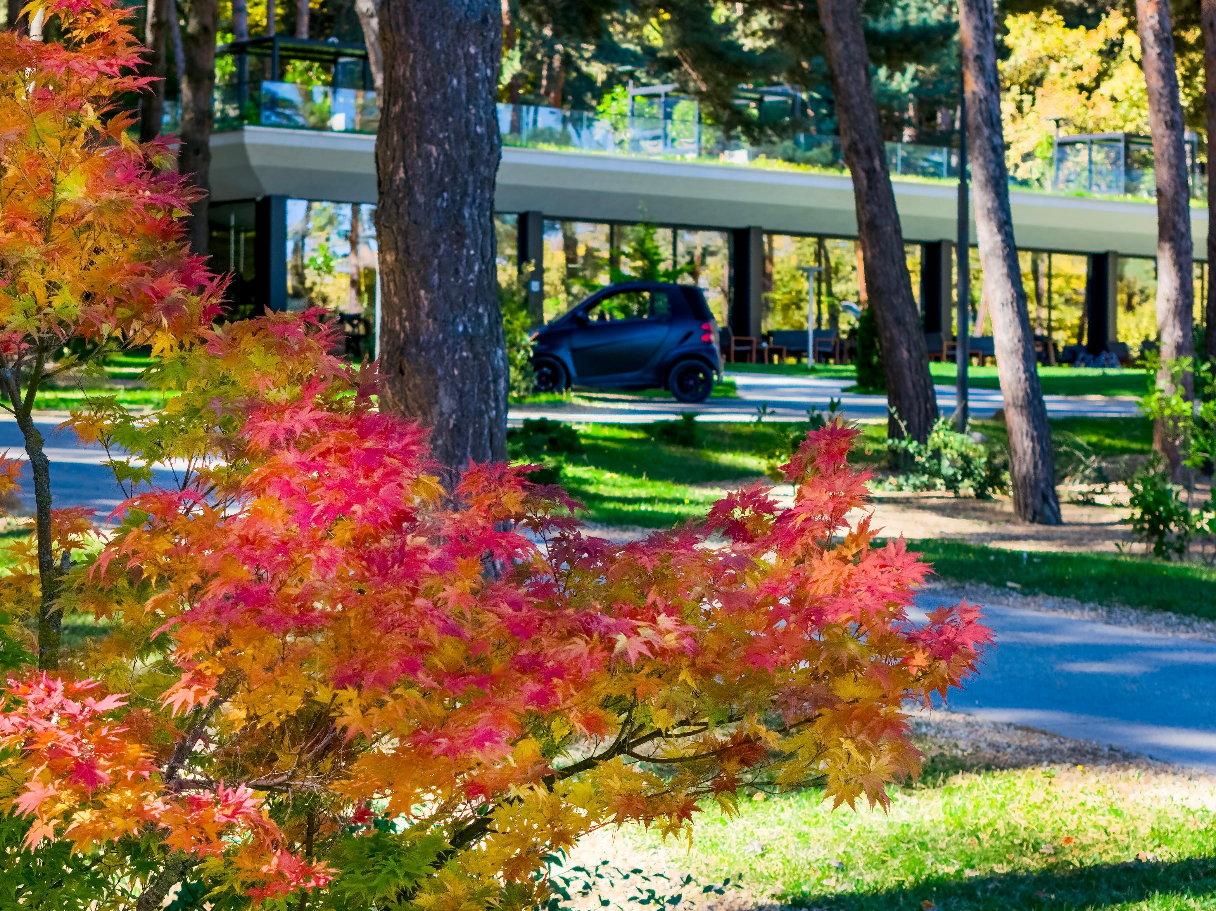 Фото Bioli Wellness Resort