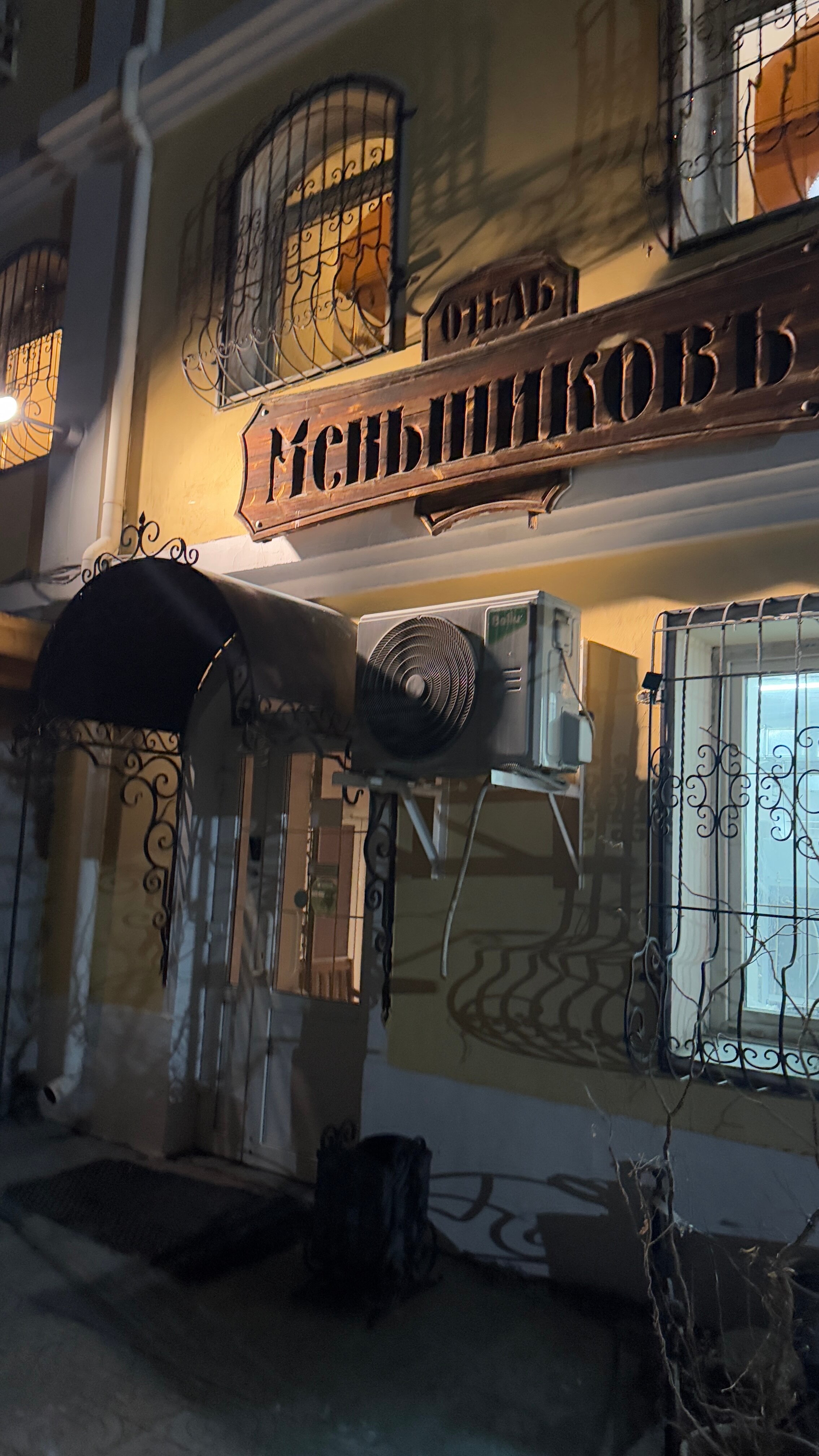 Фото Меньшиков