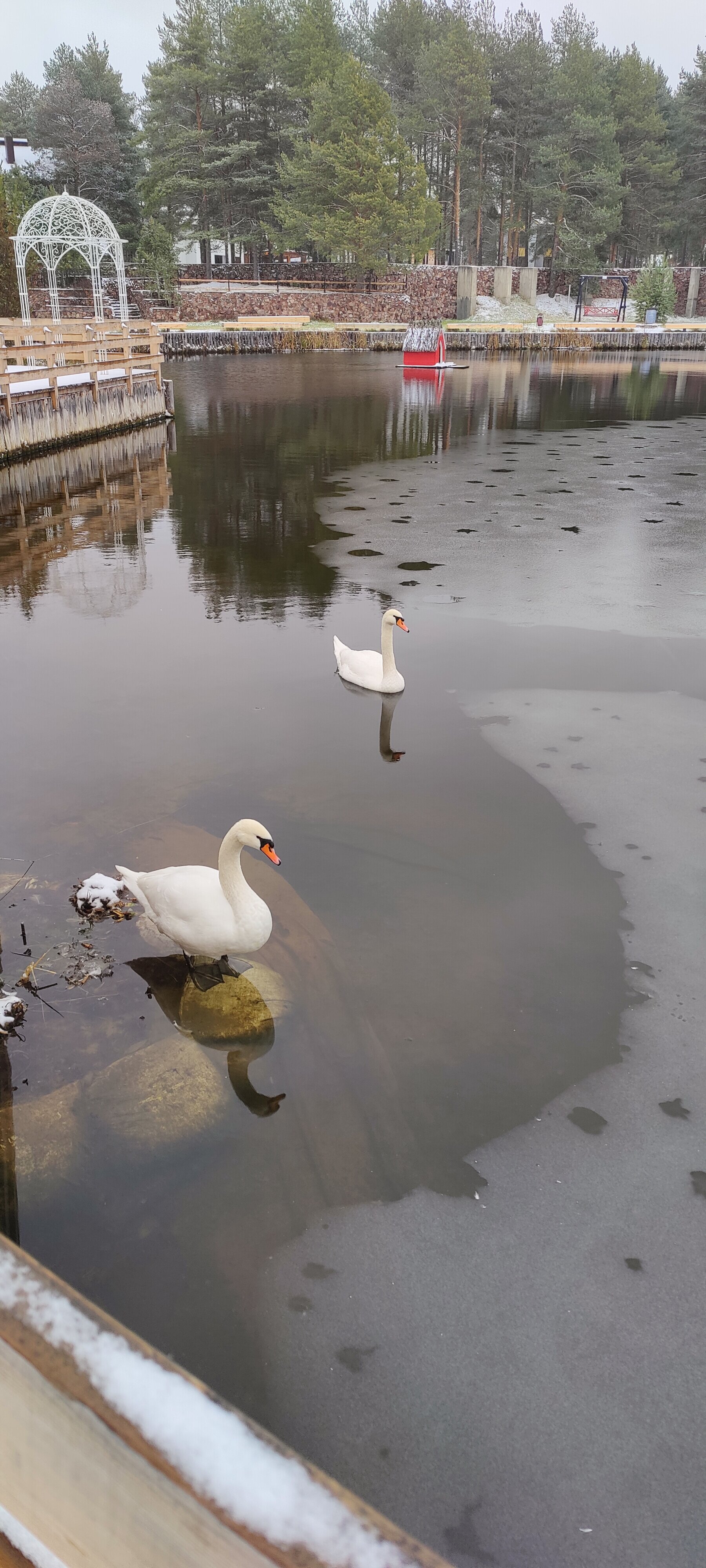 Фото ЕлятыЛодж