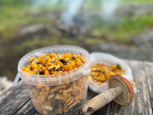 Фото Берлога люкс