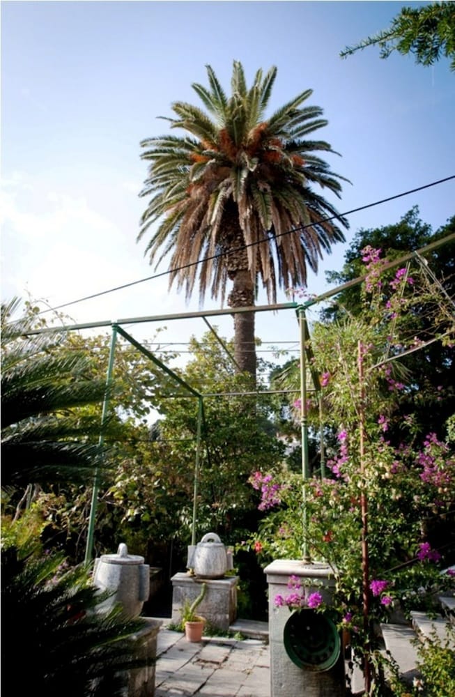 Фото Villa Iveta