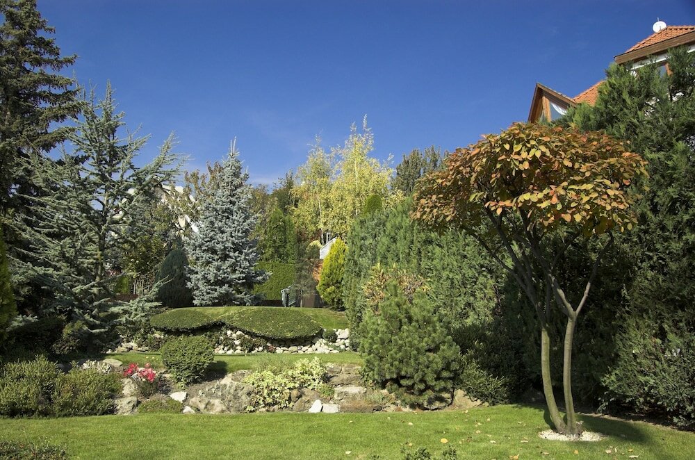 Фото Hotel Molnár