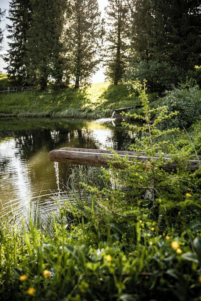 Фото Hotel Steger-Dellai