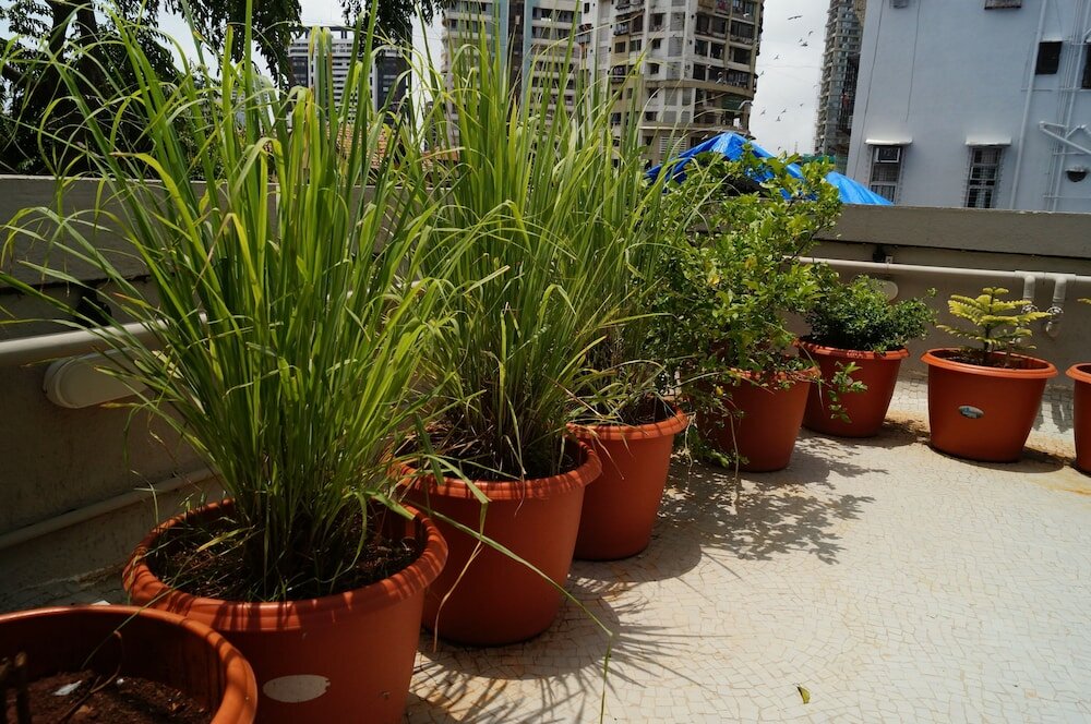 Фото Hotel Kumkum