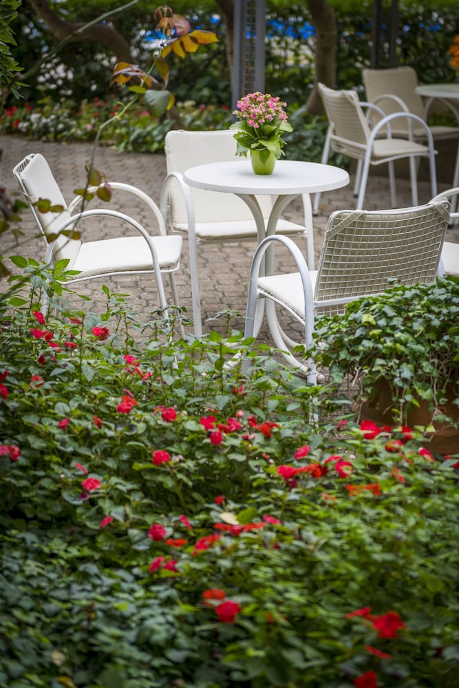 Фото Hotel Stella