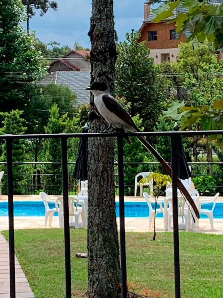 Фото Hotel San Lucas