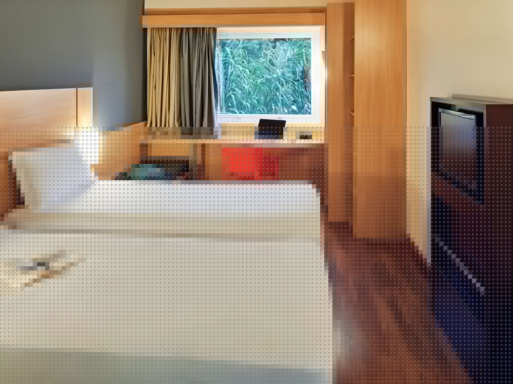 Фото Ibis Paulinia