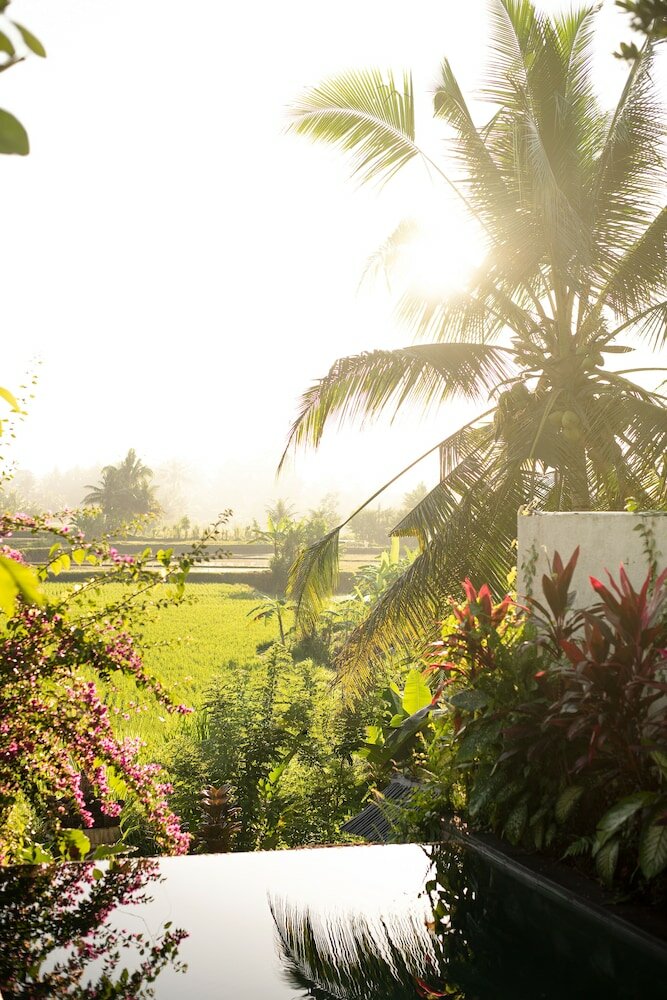 Фото Ubud Padi Villas