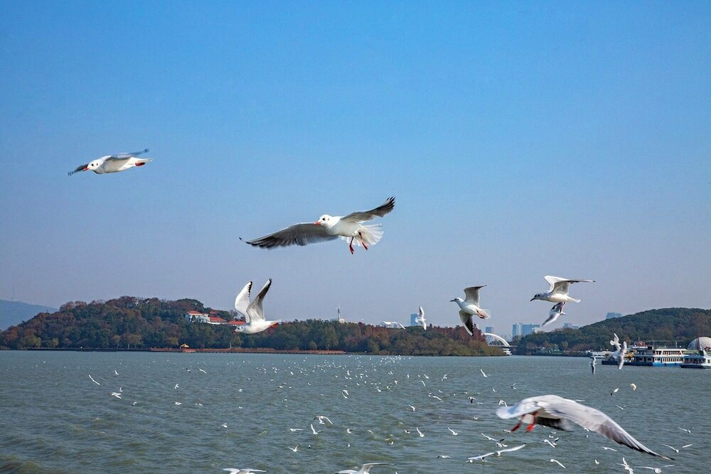 Фото Crowne Plaza Wuxi City Center