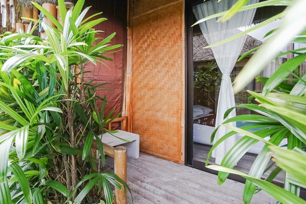 Фото Moon Bamboo