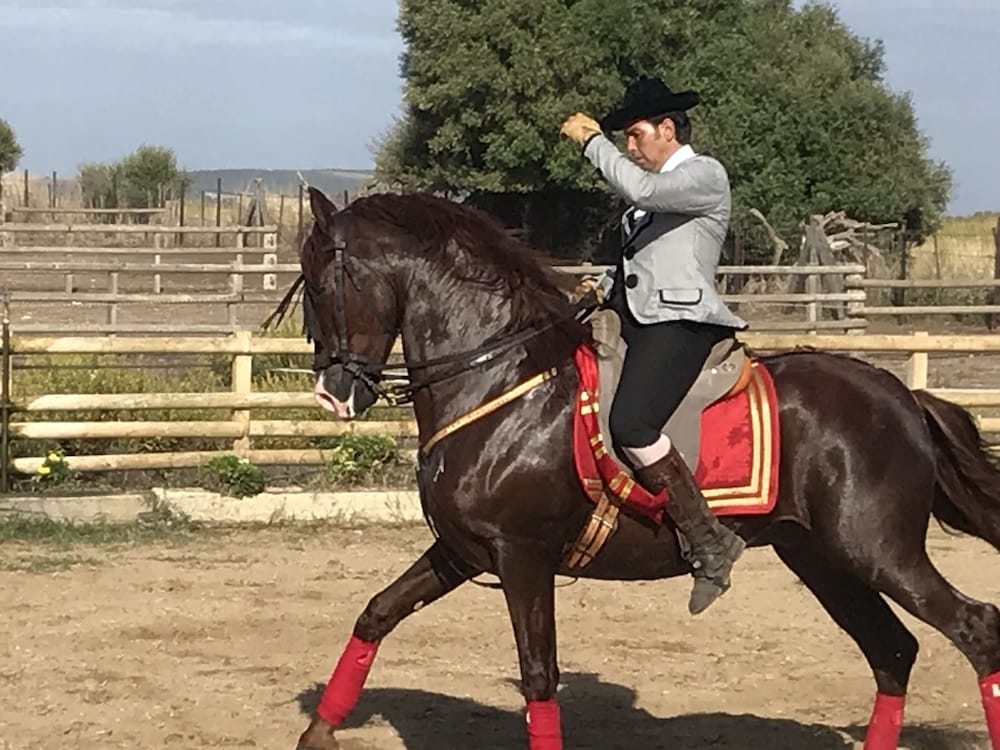 Фото Cortijo el Indiviso
