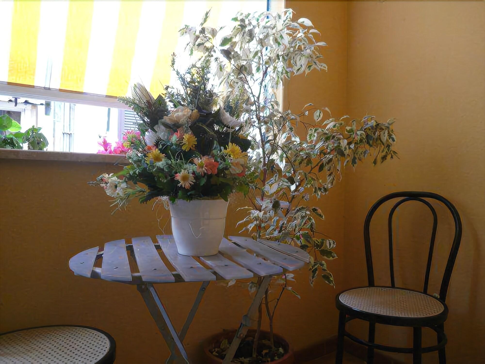 Фото Hotel Fenicia