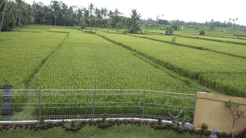 Фото Long Lane Homestay Bali