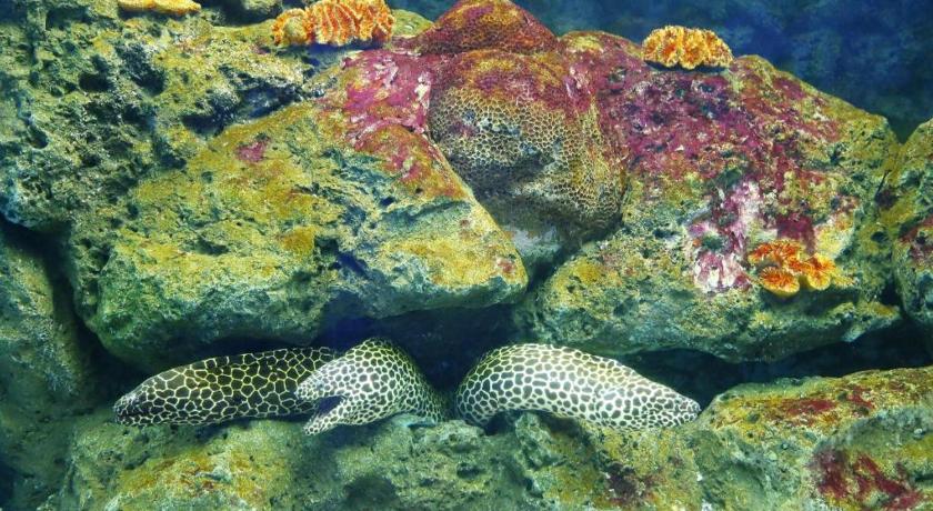 Фото Sunday J Resort & Restaurant