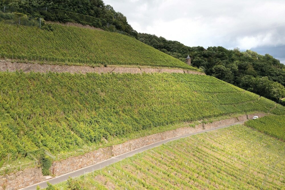 Фото Seminaris Hotel Bad Honnef