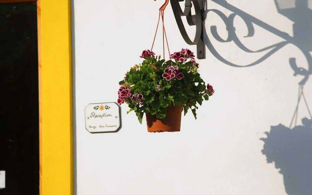 Фото Borgo San Francesco