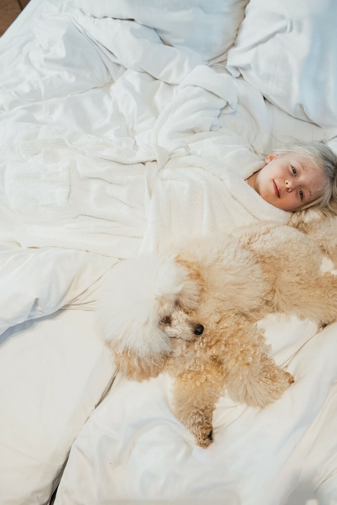 Фото Quality Hotel Royal Corner