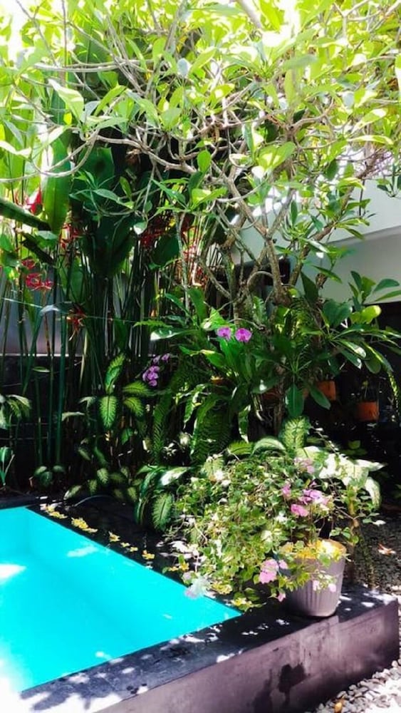 Фото The Pavilion Kuta