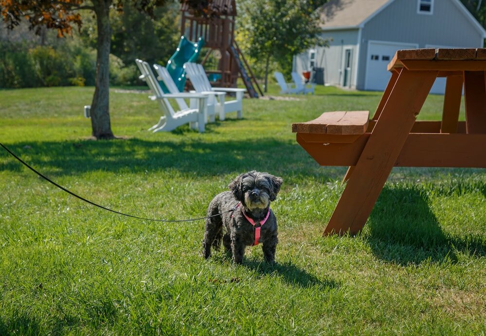 Фото Flagship Inn and Suites