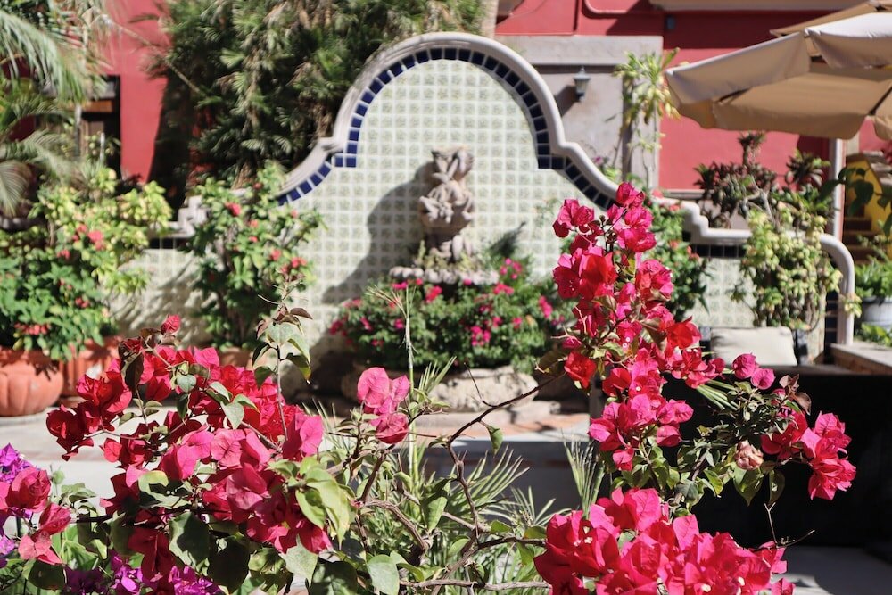 Фото Collection O Casa Bella Hotel Boutique, Cabo San Lucas