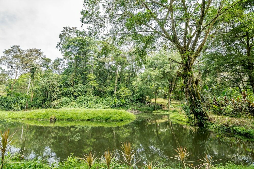 Фото Ara Ambigua Lodge