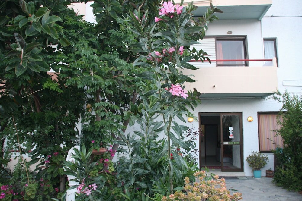 Фото Violetta Hotel