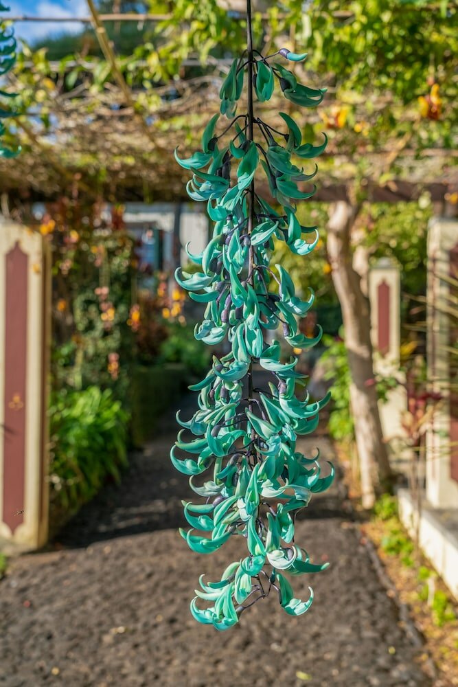 Фото Quinta Jardins do Lago