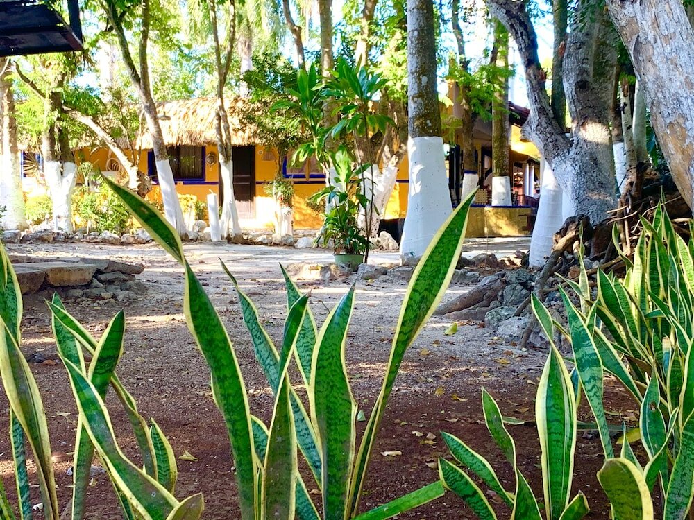 Фото Eco Hotel Green River