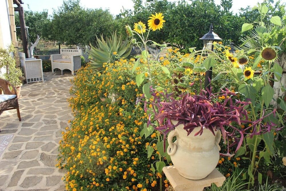 Фото B&b Le Macine 1868