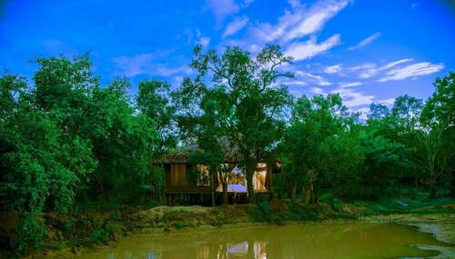 Кемпинг Yala Safari Camping - All Inclusive в Провинции Ува