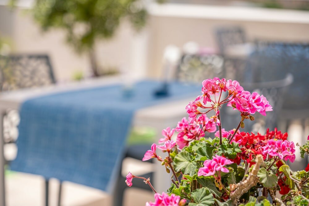 Фото Dei del Mare Extra Luxury