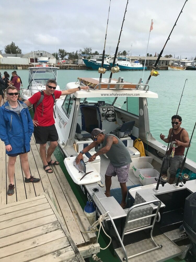 Фото Dayspring Lodge