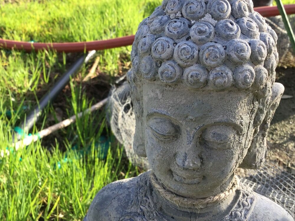 Фото Heartwood Mountain Sanctuary