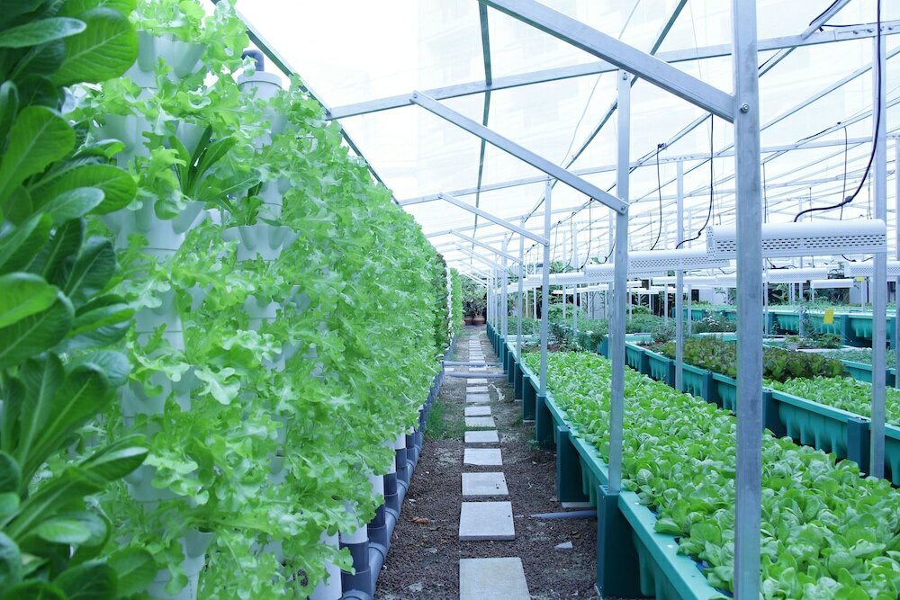 Фото Swissotel The Stamford, Singapore