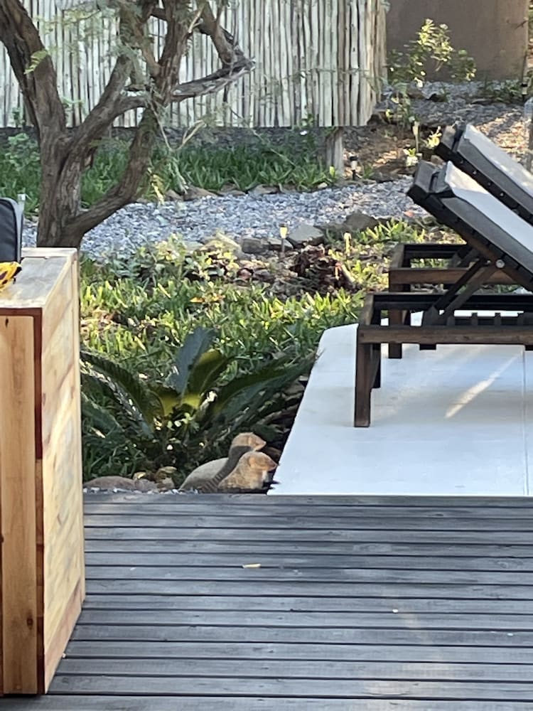 Фото Lindiwe Safari Lodge