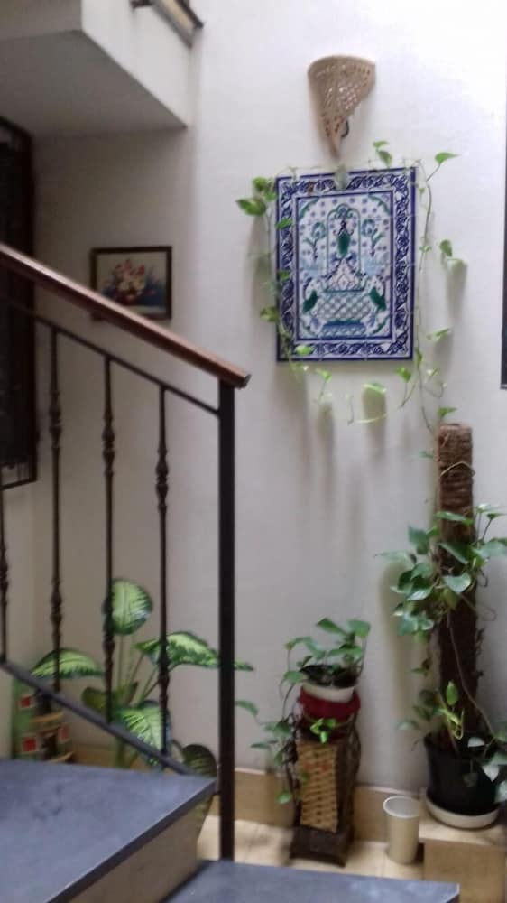 Фото L ' Arabo e il Normanno