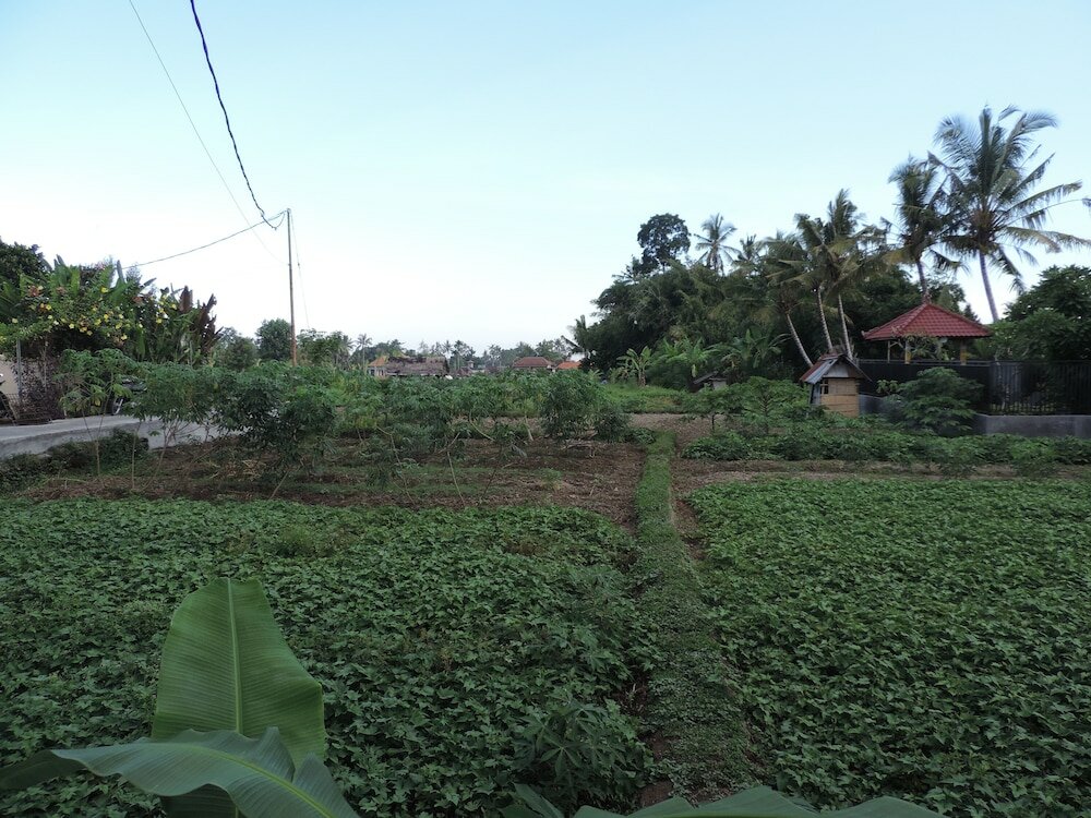 Фото Duana Sari Ubud