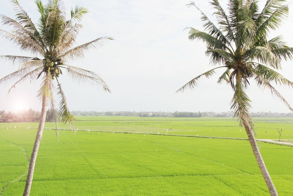 Фото Hoi An Four Season Villa