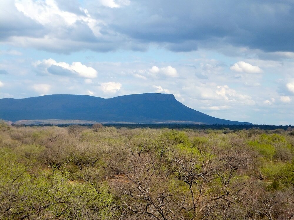 Фото Iphofolo Lodge