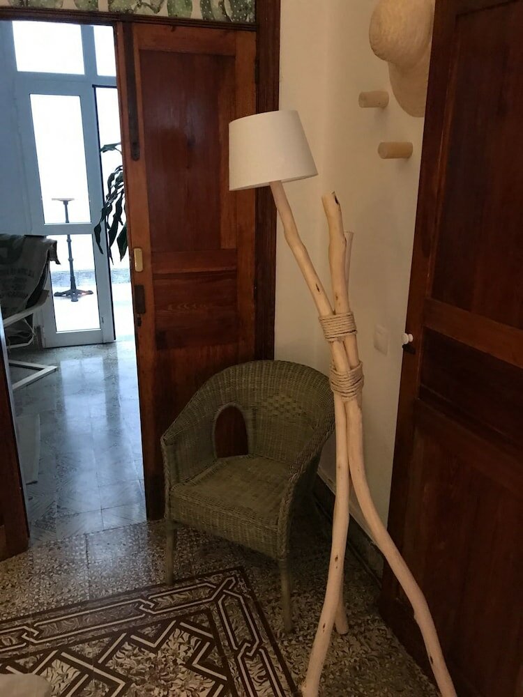 Фото Cactus Host