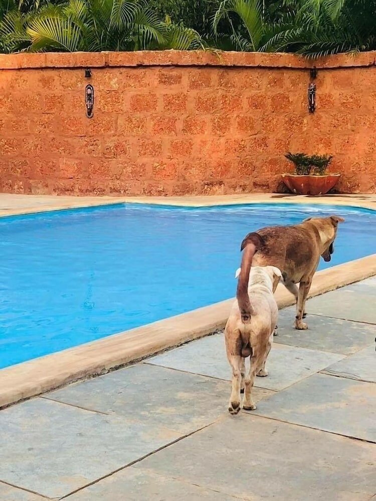 Фото Banyan Tree Yoga