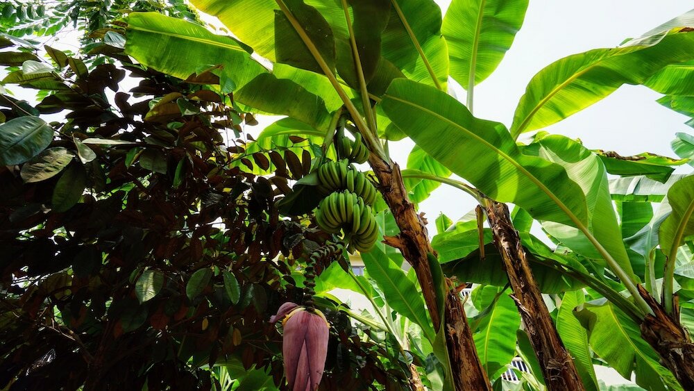 Фото The Family Kingdom Resort