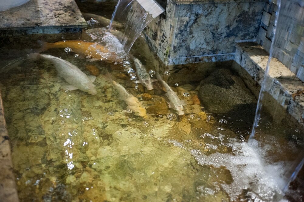 Фото Hotel Marimar The Place