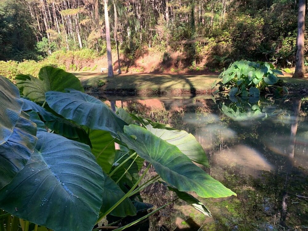 Фото Chalets do Vale