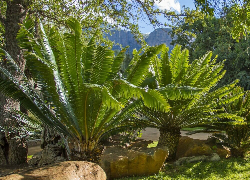 Фото LittleBush Private Lodge