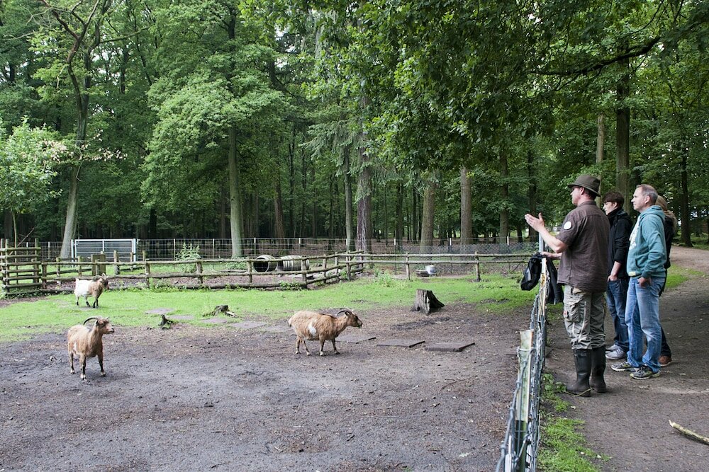 Фото Vila Vita Burghotel Dinklage