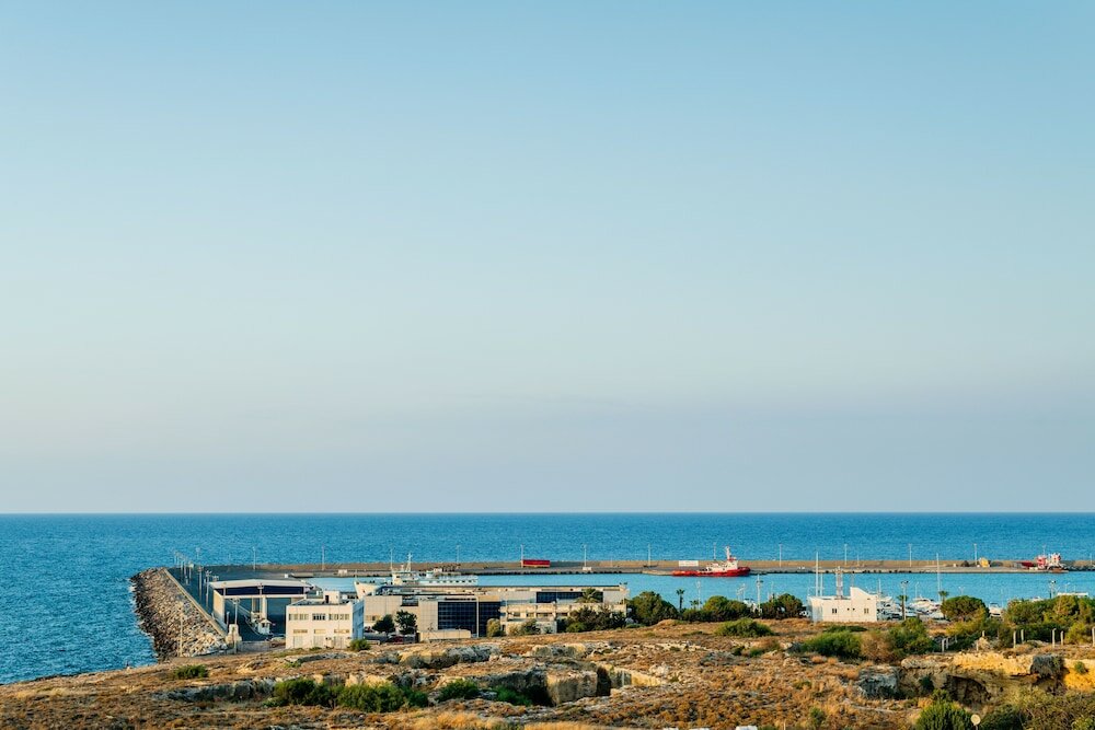 Фото Olivia Palm Hotel