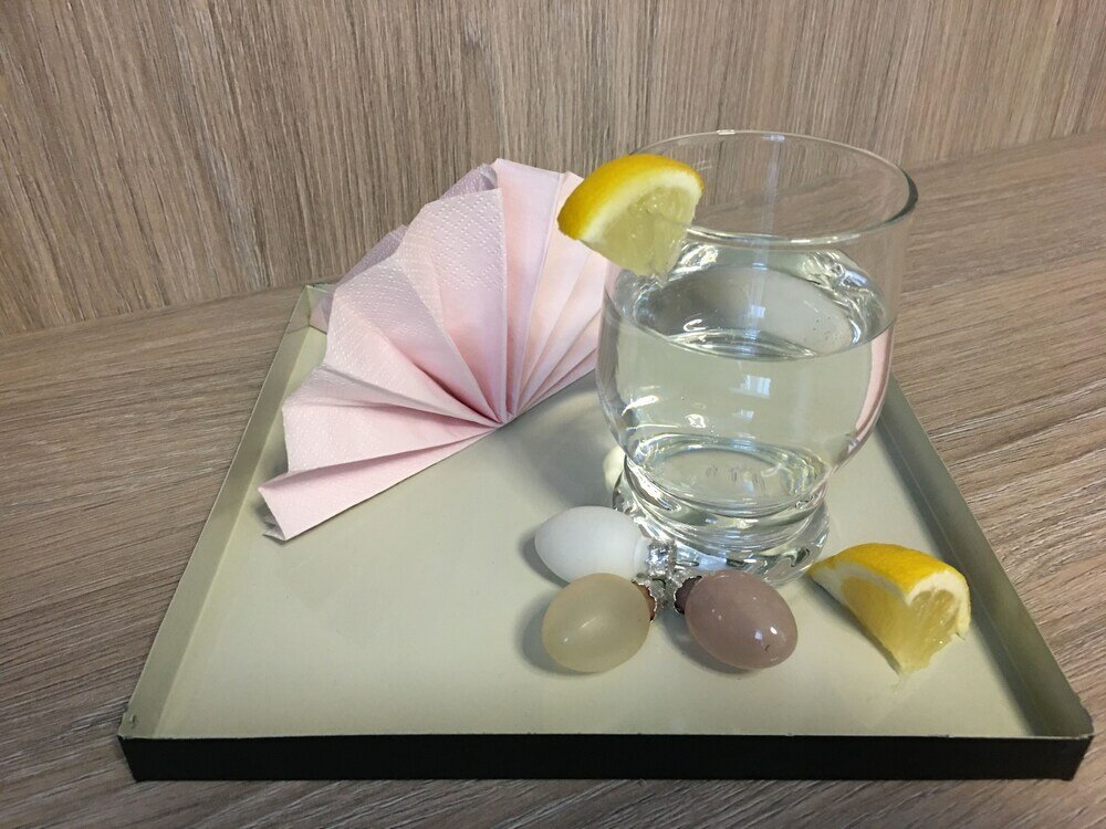 Фото Hotel Glinde