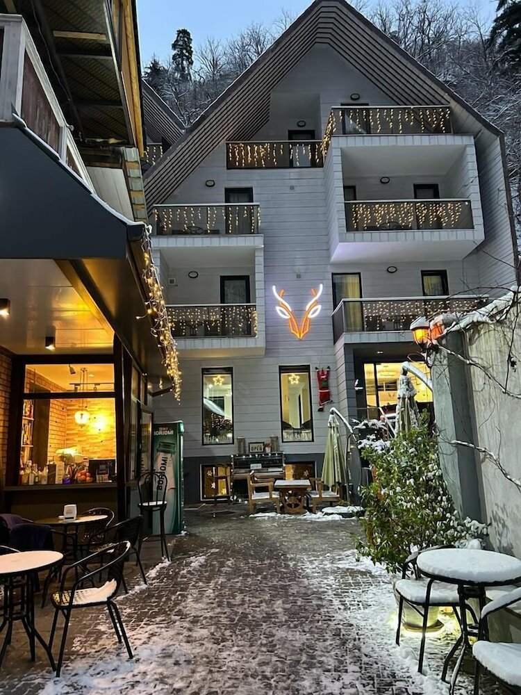 Фото Borjomi Underwood